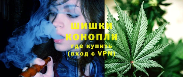 apvp Долгопрудный