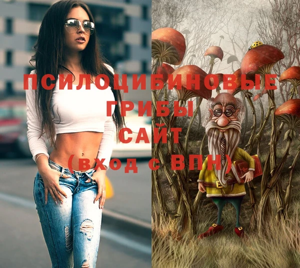 ГАЛЛЮЦИНОГЕННЫЕ ГРИБЫ Мегион
