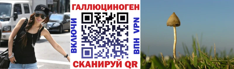 Галлюциногенные грибы Cubensis  купить закладку  Сергач 